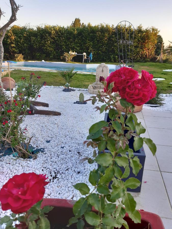 Petit Coin De Detente Seyresse Zewnętrze zdjęcie
